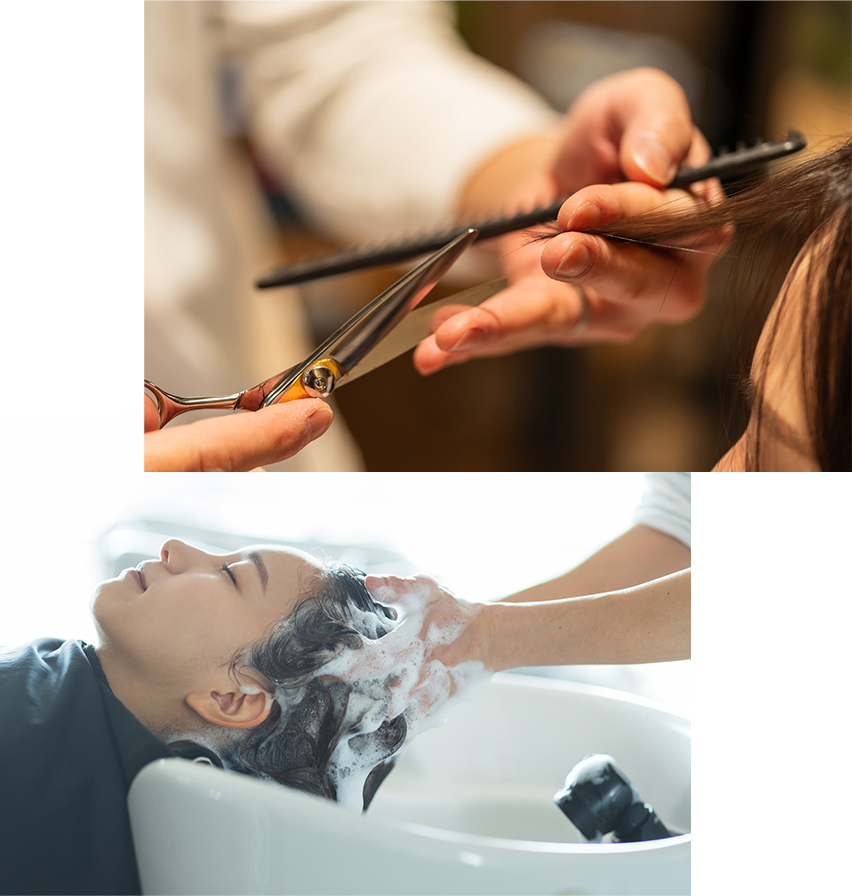 カット、シャンプーイメージ