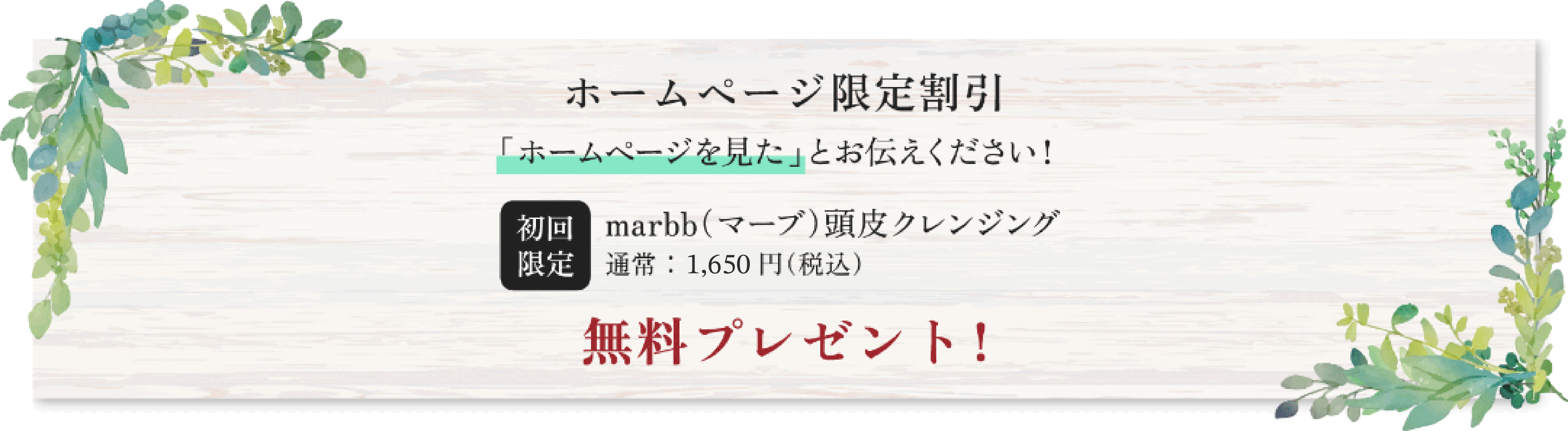 ホームページ限定割引